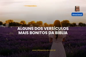 versiculos bonitos da biblia