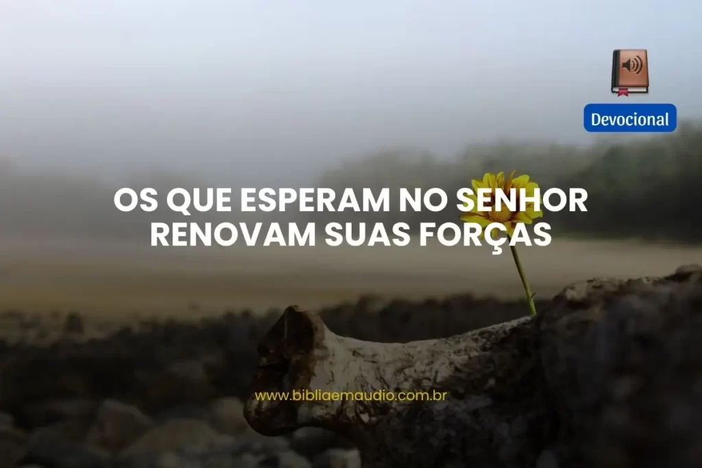 Os que esperam no Senhor renovam suas forças