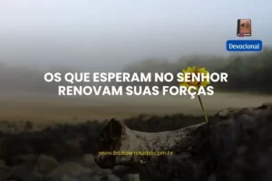 Os que esperam no Senhor renovam suas forças