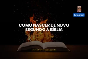 biblia em audio? como nascer de novo segundo a biblia