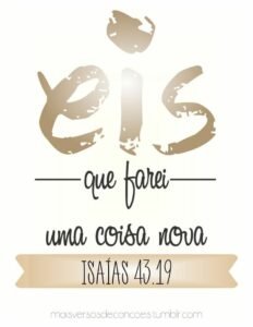 c6dddd0159813dcebe5ed761a4f91d07